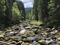 ©Vladimír Rogalewicz, Šumava